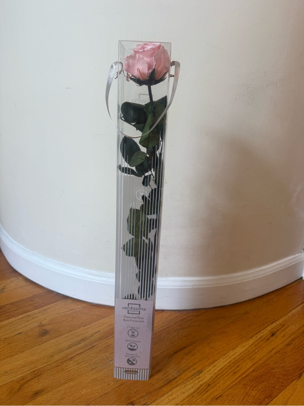 Verdissimo Premium Preserved Single Pink Rose